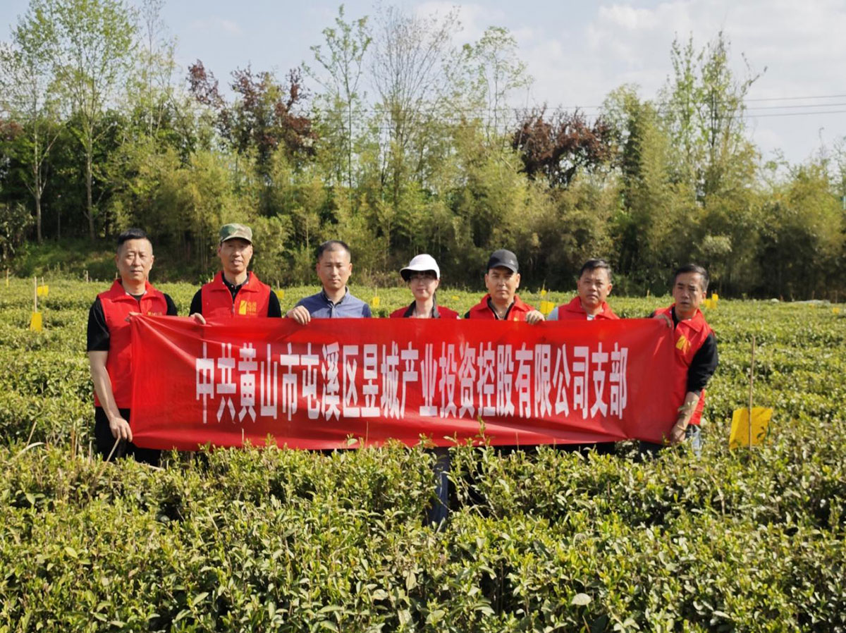 昱城產(chǎn)投公司黨支部開(kāi)展“茶香潤(rùn)初心，黨旗映茶園”主題黨日活動(dòng)
