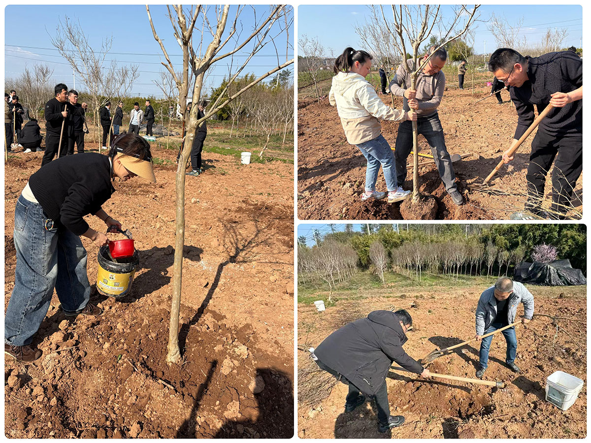 “攜手植樹聯(lián)建情”—城建投公司黨支部開展3月份主題黨日活動
